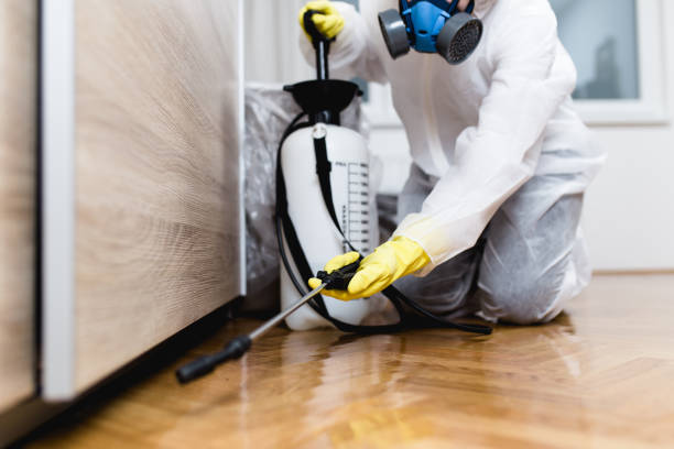 Best Cockroach Control Services  in Highlands Ranch, CO