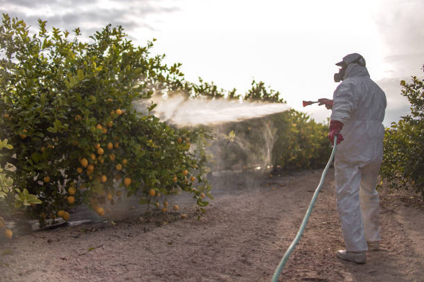 Best Pest Inspection Near Me  in Highlands Ranch, CO