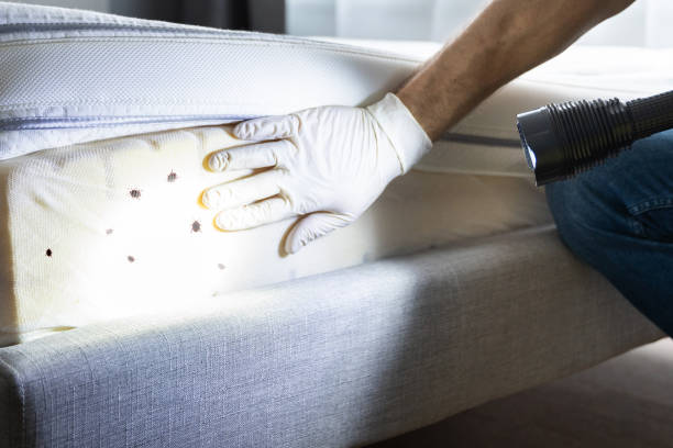 Pest Control for Restaurants in Highlands Ranch, CO